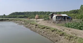 চর দখল নিয়ে গোলাগুলি: বাবা-ছেলেসহ নিহত ৫ জনের বাড়ি হাতিয়ায়